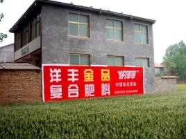 鲁山如何让墙体广告展现最大化效果