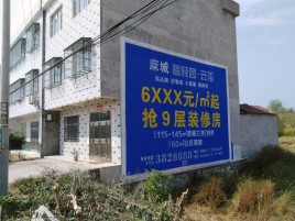 鲁山墙体广告质量分析
