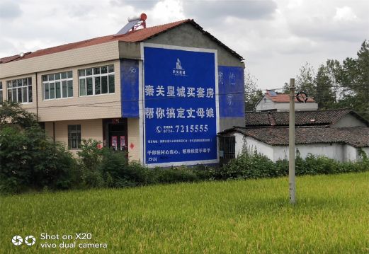 鲁山决定墙体广告价格的因素有哪些?