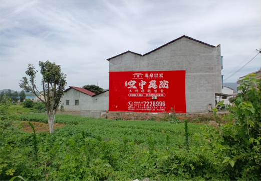 鲁山做墙体广告的意义