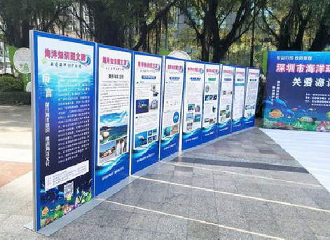 鲁山KT板的种类和知识。